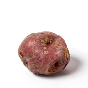 Potetsorten Gammelraude