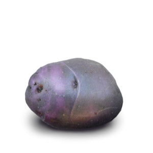 Potetsorten Langes Potet