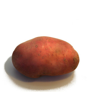 Potetsorten Sarpo Mira