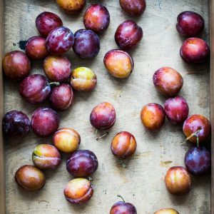 Grunnstamme til plomme St. Julien for levering 2026, bunt a 4 stk