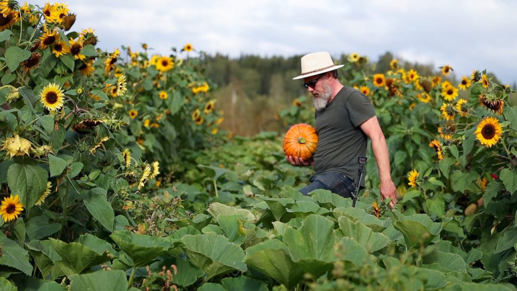 Make Impact Films fra Dokumentaren FRø